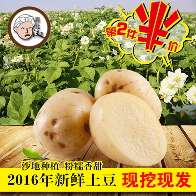 【天天特价】16年陕北现挖现发沙地土豆马铃薯洋芋纯天然蔬菜5斤