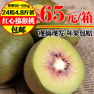 新鲜水果奇异果 四川特产 红心野生猕猴桃 4.8斤24粒装 多省包邮