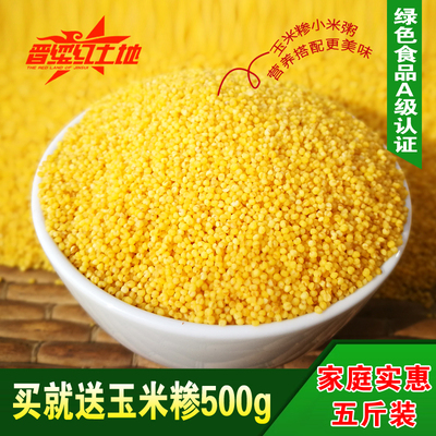山西特产农家特级绿色黄小米新米 小黄米月子米小米粥谷子杂粮5斤