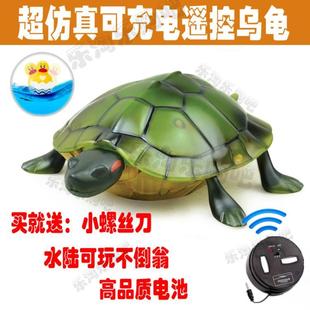 包邮仿真遥控乌龟红外线 创意动物玩具迷你可爱电子宠物 可充电