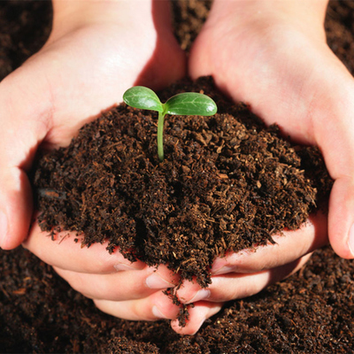 专家配置 有机营养土栽花土 种菜土泥土泥炭土 松软透气 腐殖质土