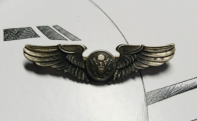 美国代购USAF原品 鹰式飞行翼章 纯银翅膀徽章 二战标准别针2英寸