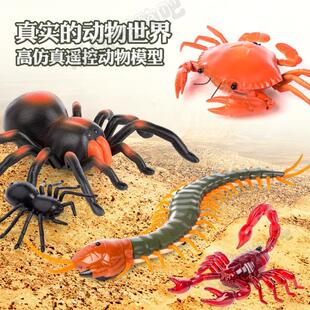 遥控动物仿真昆虫世界电动模型遥控毛毛虫蜘蛛青蛙螃蟹整蛊玩具