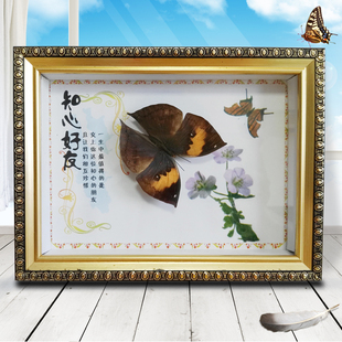 真蝴蝶昆虫标本相框 工艺摆件收藏生日结婚送礼佳品画框 2件包邮