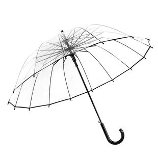 16骨加厚透明雨伞 个性小清新直长柄伞创意自动男女情侣伞