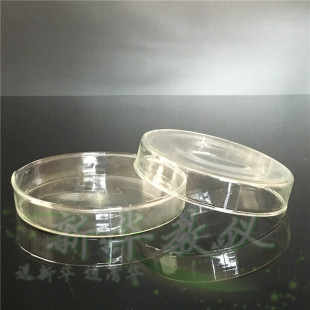 耐高温 优质玻璃培养皿 100mm 高透明  生物实验器材 玻璃平皿