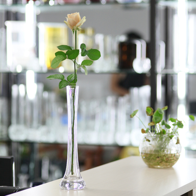 娜祺 细长口玻璃花瓶婚庆透明玻璃花瓶 欧式简约花器玫瑰花瓶包邮