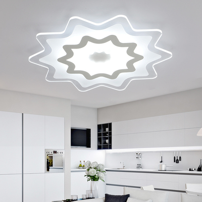 LED现代简约超薄亚克力铁艺创意时尚吸顶灯客厅卧室书房餐厅灯具